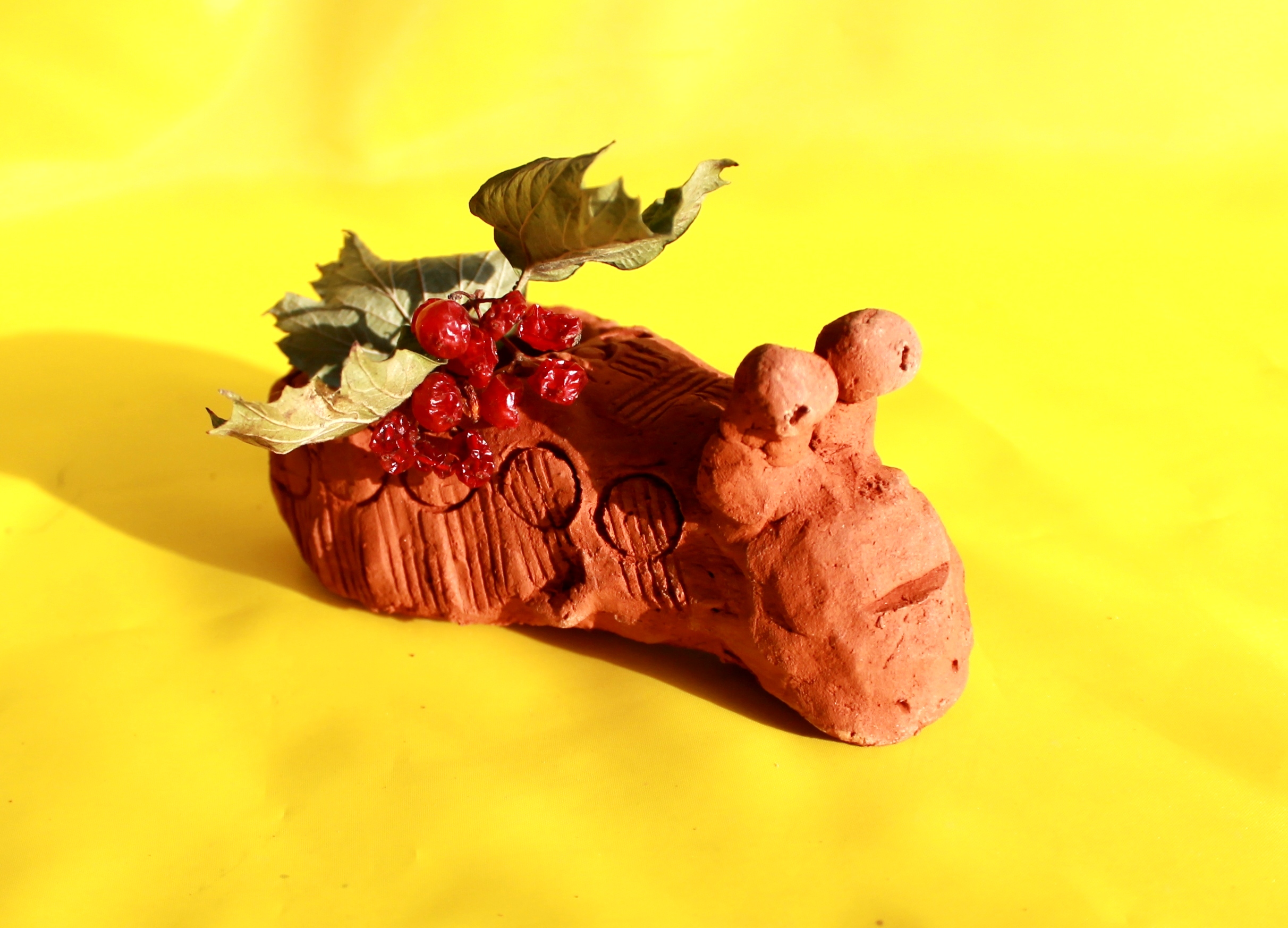 Ахмедов Рустам 9лет