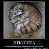 А глаза-то, как у каждой воторой семьи ипотечной А глаза-то, как у каждой воторой семьи ипотечной