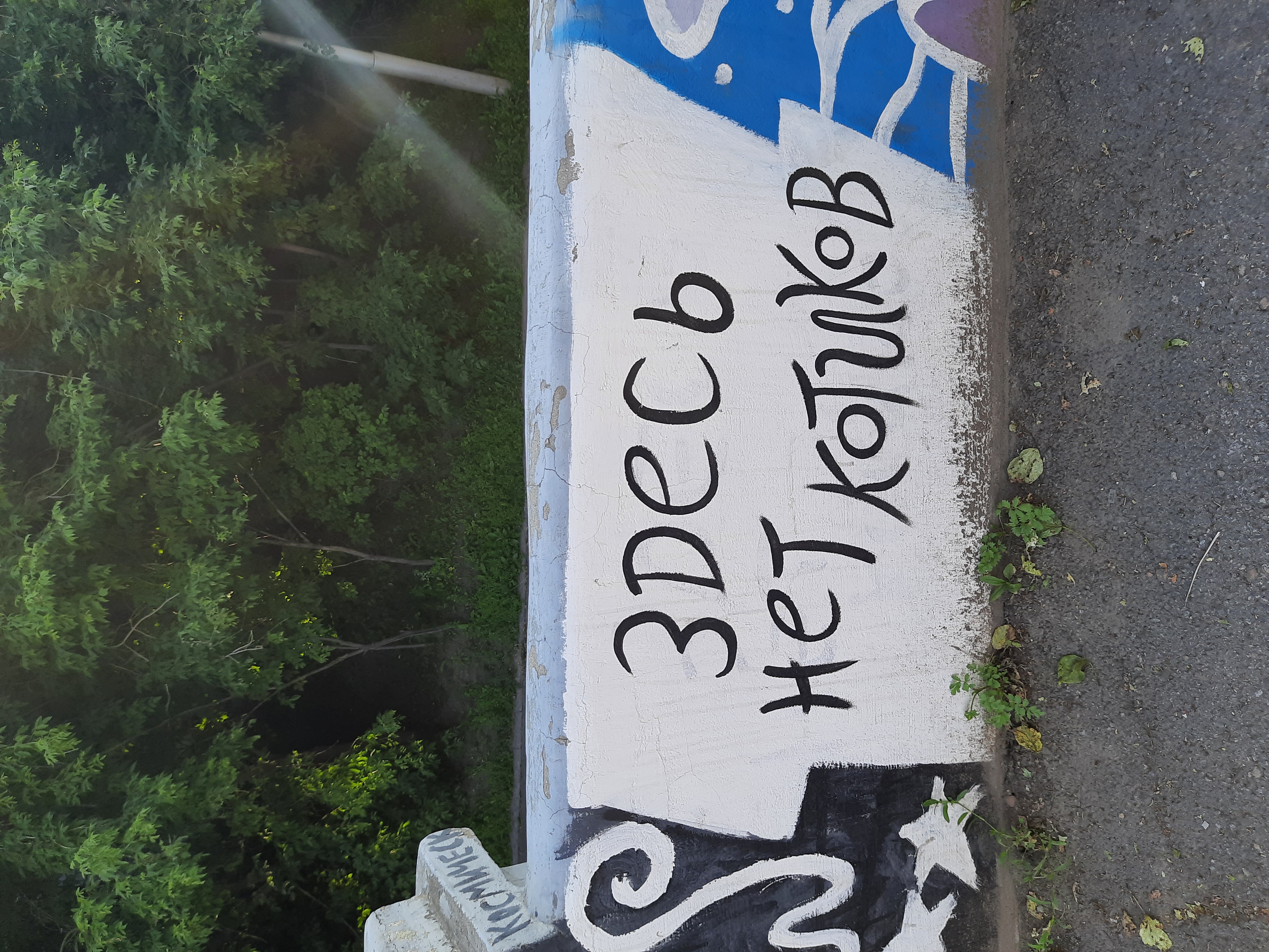 Ни еды, ни котиков 