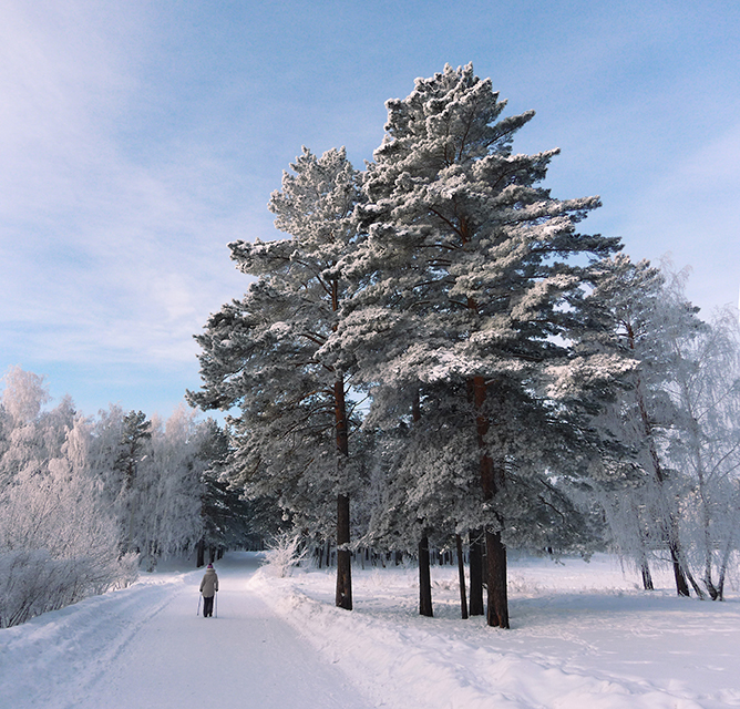 Скандинавский ходок