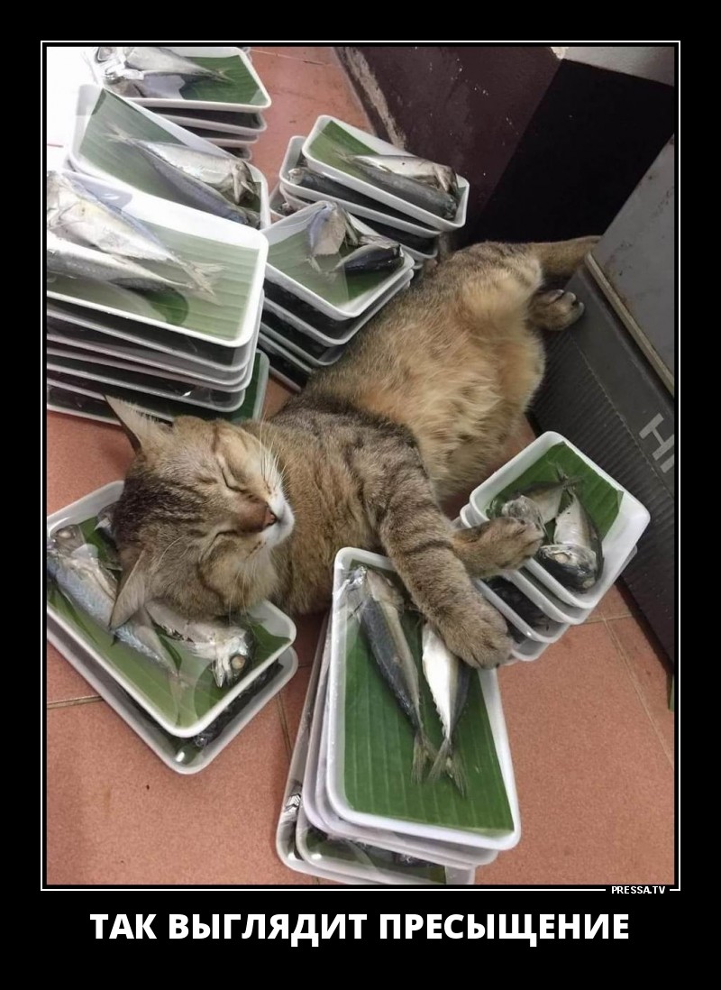 Пресыщение