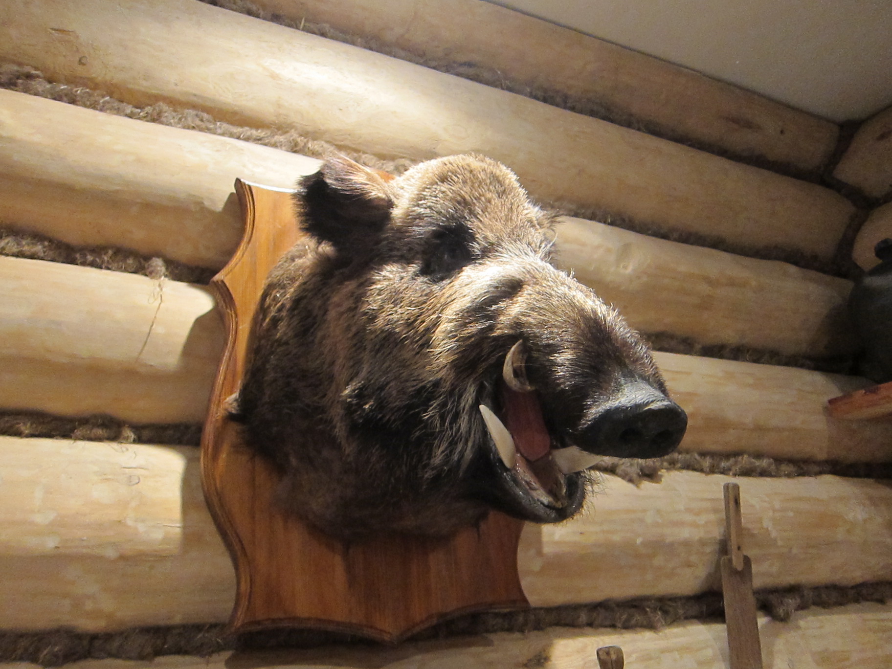 Ёлки-палки 2