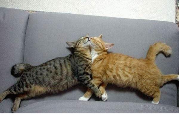 поздравляются )))