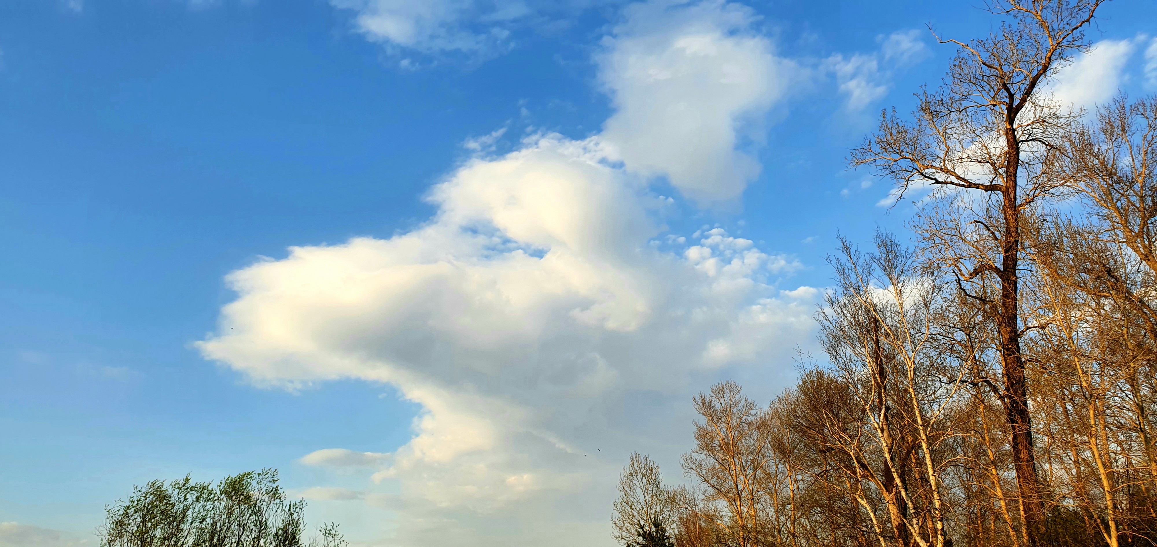 очередные облака)))))