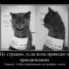 Приключения и жопа