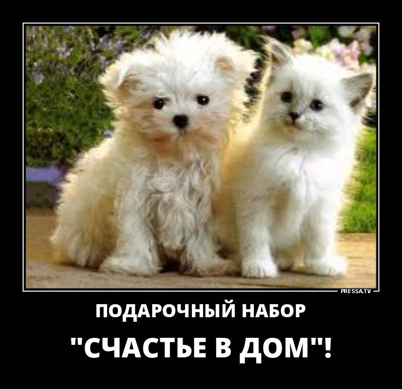 Подарочный набор
