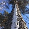 снежная дорожка к небесам... снежная дорожка к небесам...