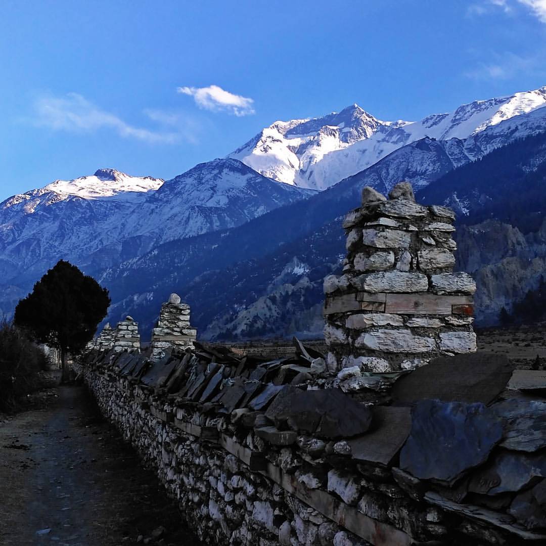 Жить по мечте