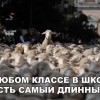 Самый длинный в классе