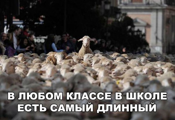 Самый длинный в классе