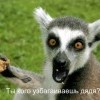 ты каво?