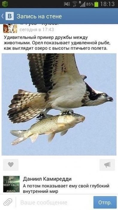 Пример дружбы