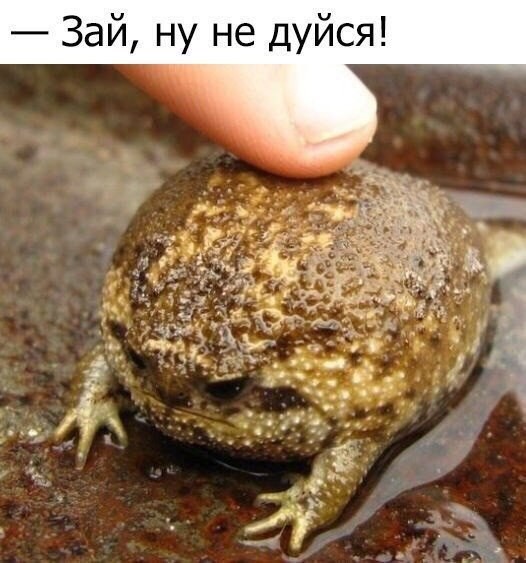 ну зай? узбагойзя и не дуйзя))))