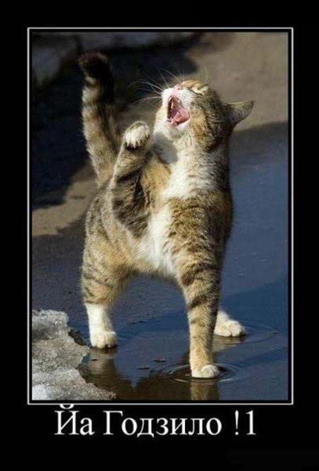 годзило