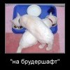 На брудершафт