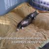 39de64cd37f8ae7c32f0fa0fff6 prev