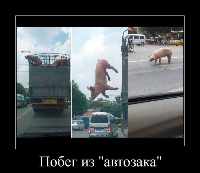 Побег