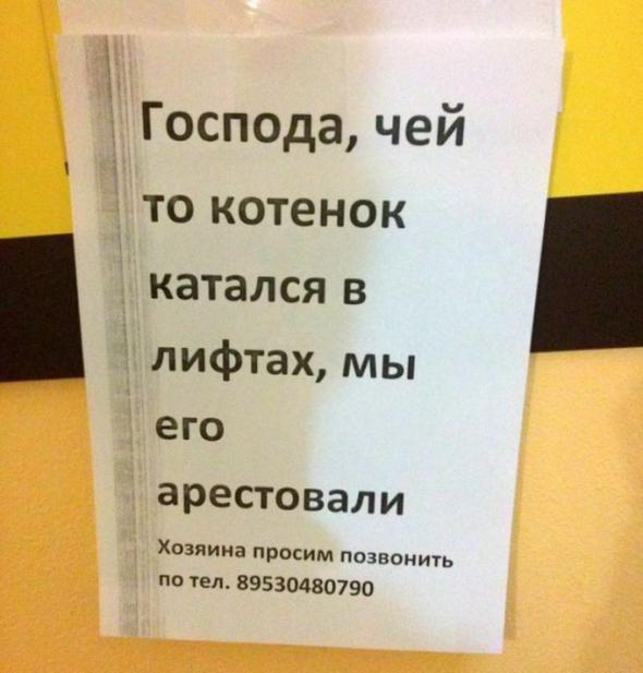 35c34dbbb390c2ec72c7b5bfdac prev