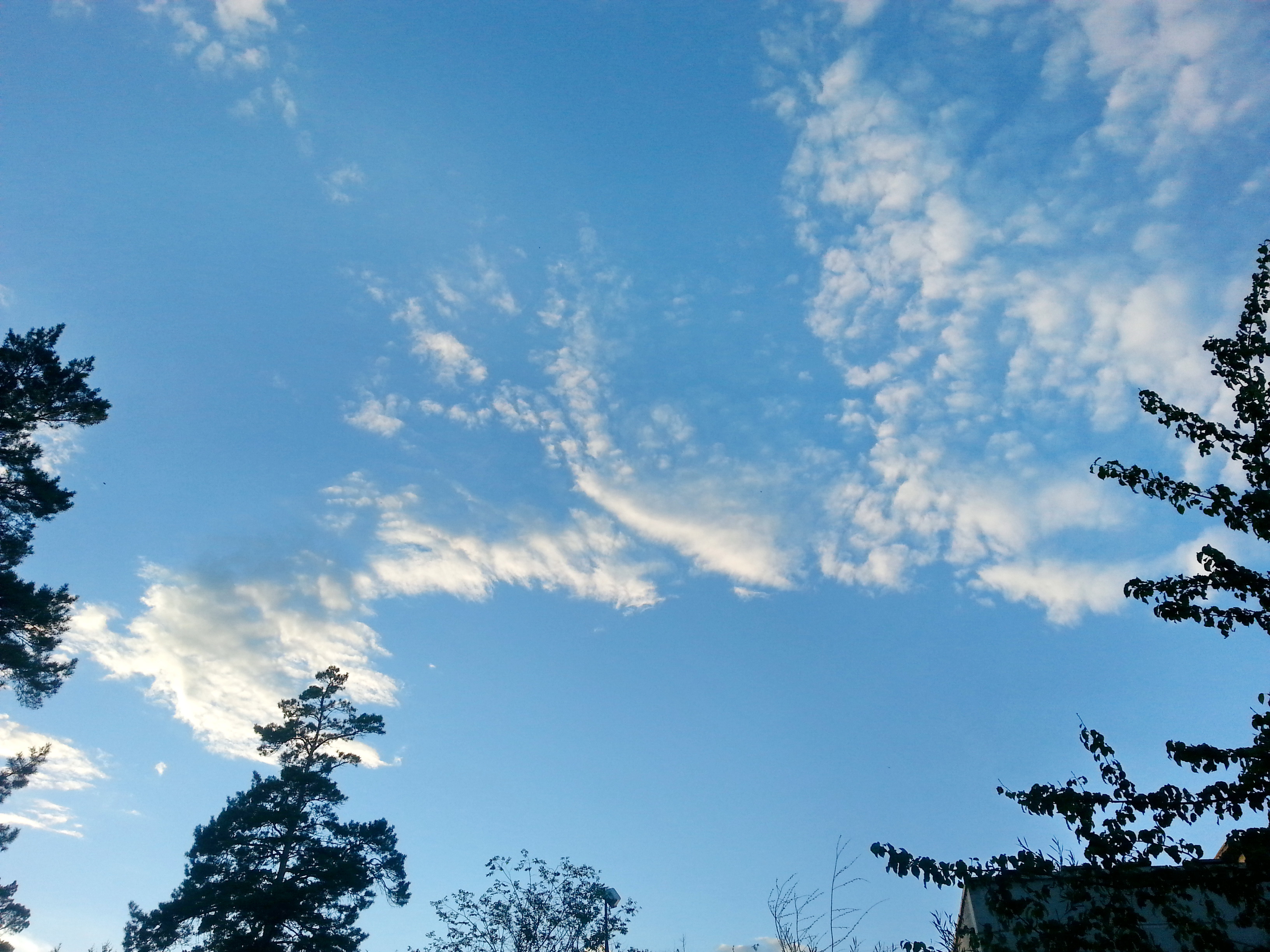 Очередное облако))))))