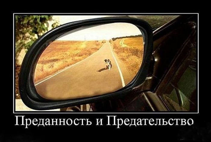 Преданность и предательство