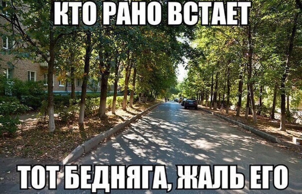 Кто рано встает
