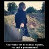 Картошка Картошка