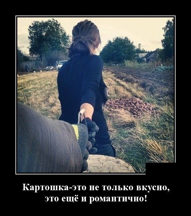Картошка