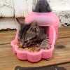 Котэ