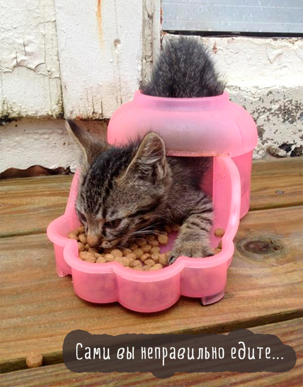 Котэ