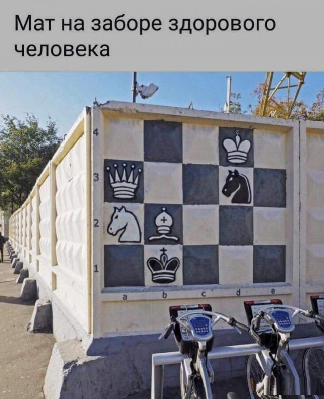 Мат на заборе