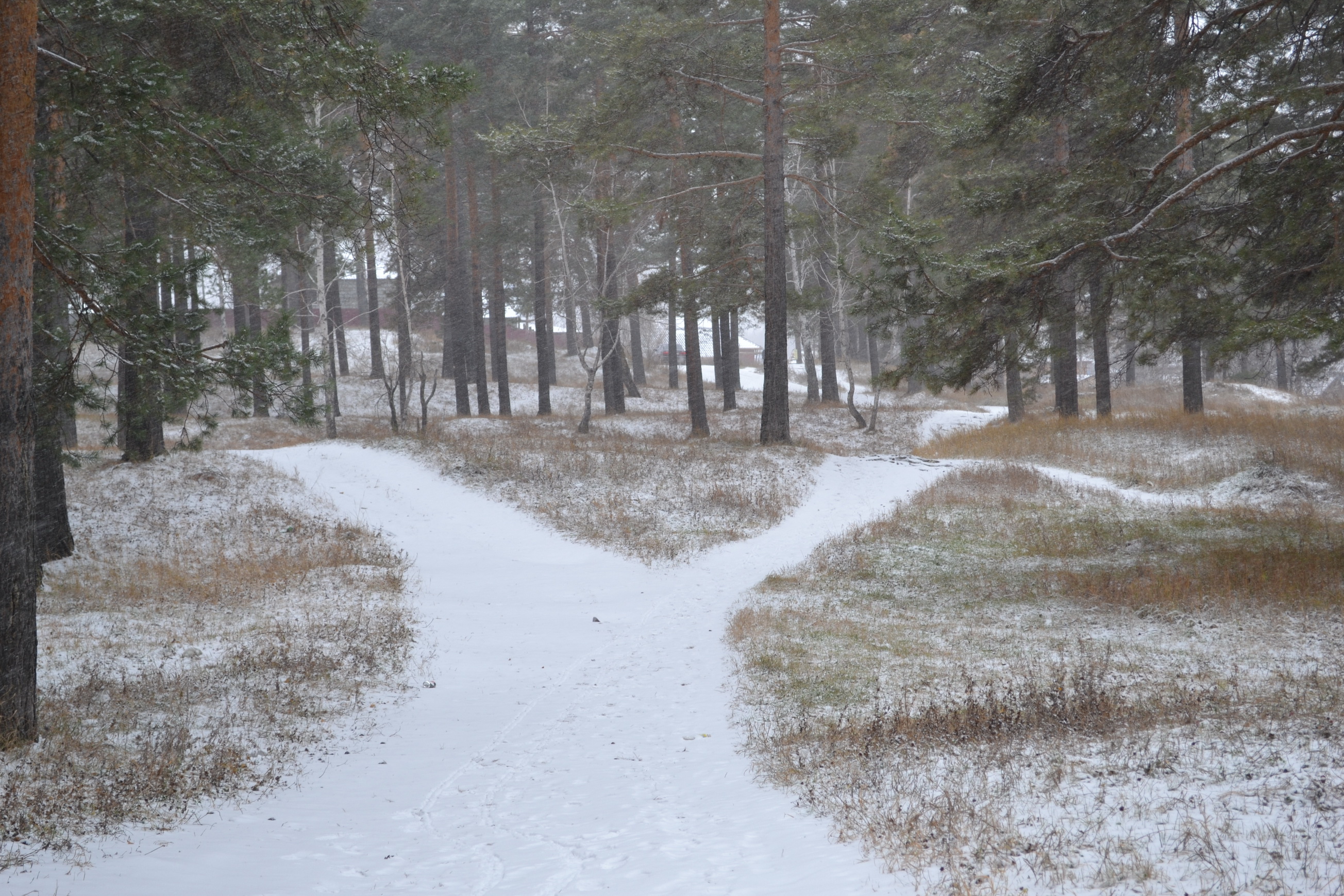 Дарошки раздваяйца)))))