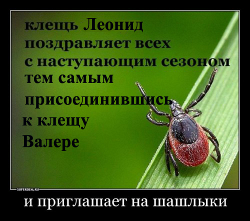 клесчь присоединился))))))