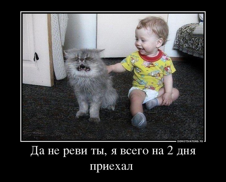 86570149 da-ne-revi-tyi-ya-vsego-na-2-dnya-priehal-