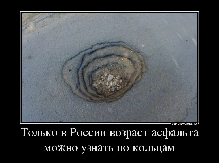 0465514 tolko-v-rossii-vozrast-asfalta-mozhno-uznat-po-koltsam