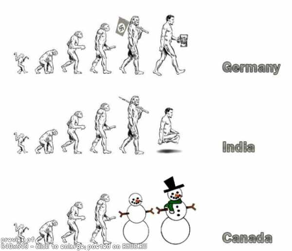 Эволюшен карикатуршен фри