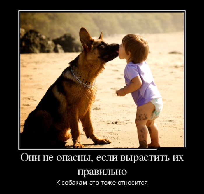 Они-не опасны