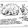 Белка, медведь и спички Белка, медведь и спички