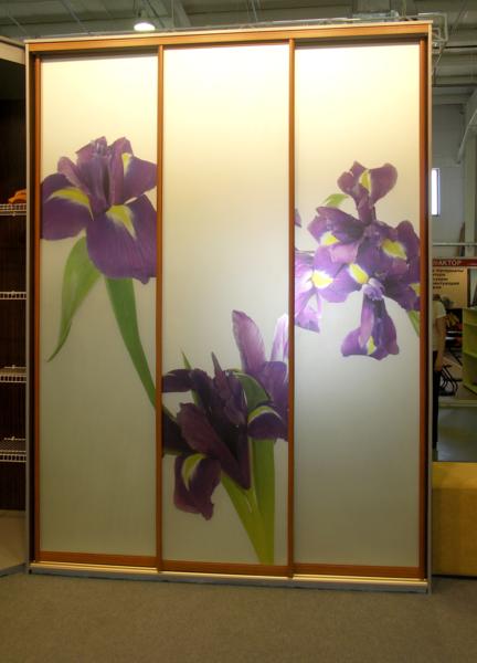 Image00037