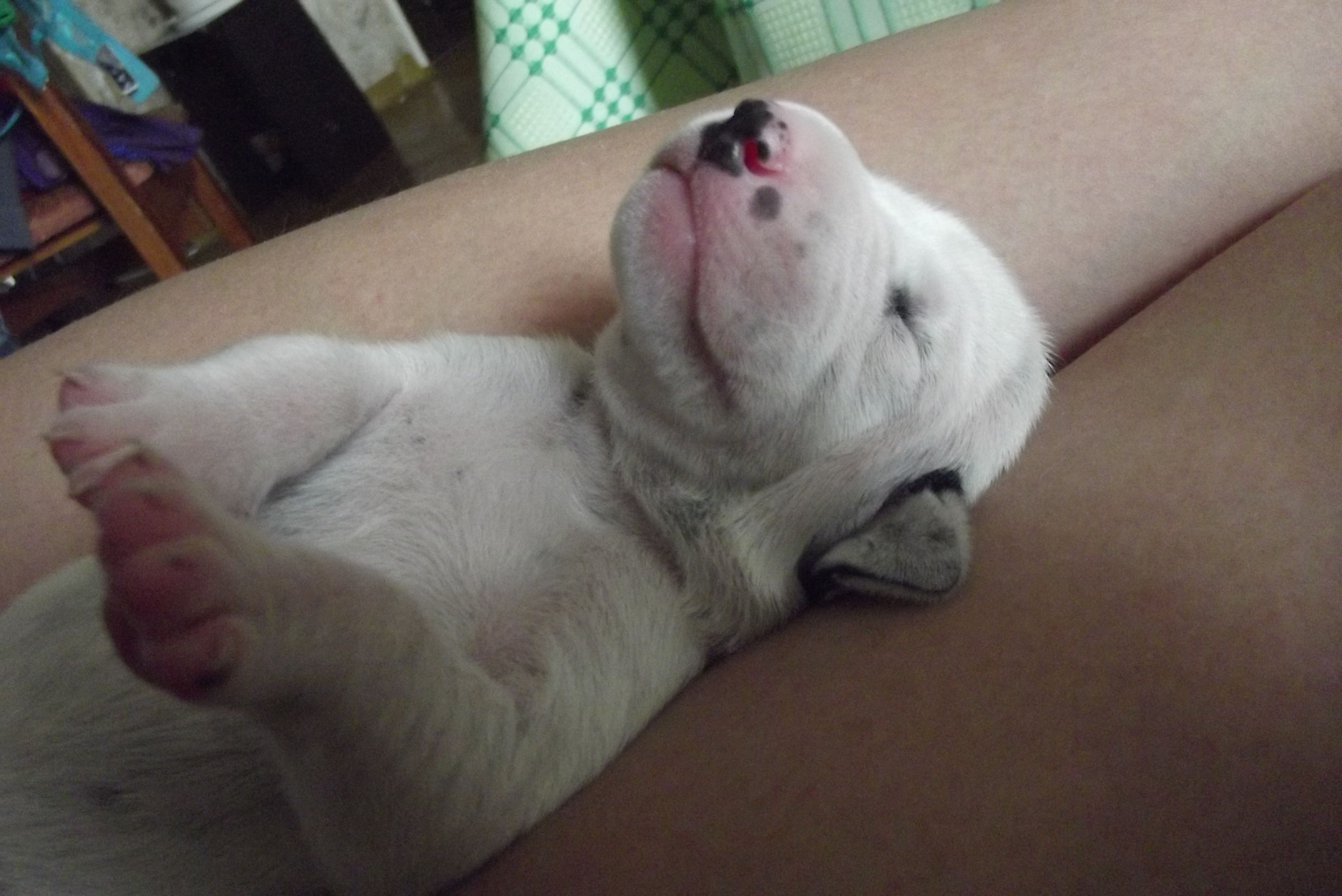 Сергей Иваныч