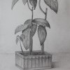 Михайлова Ксения, 13лет Михайлова Ксения, 13лет