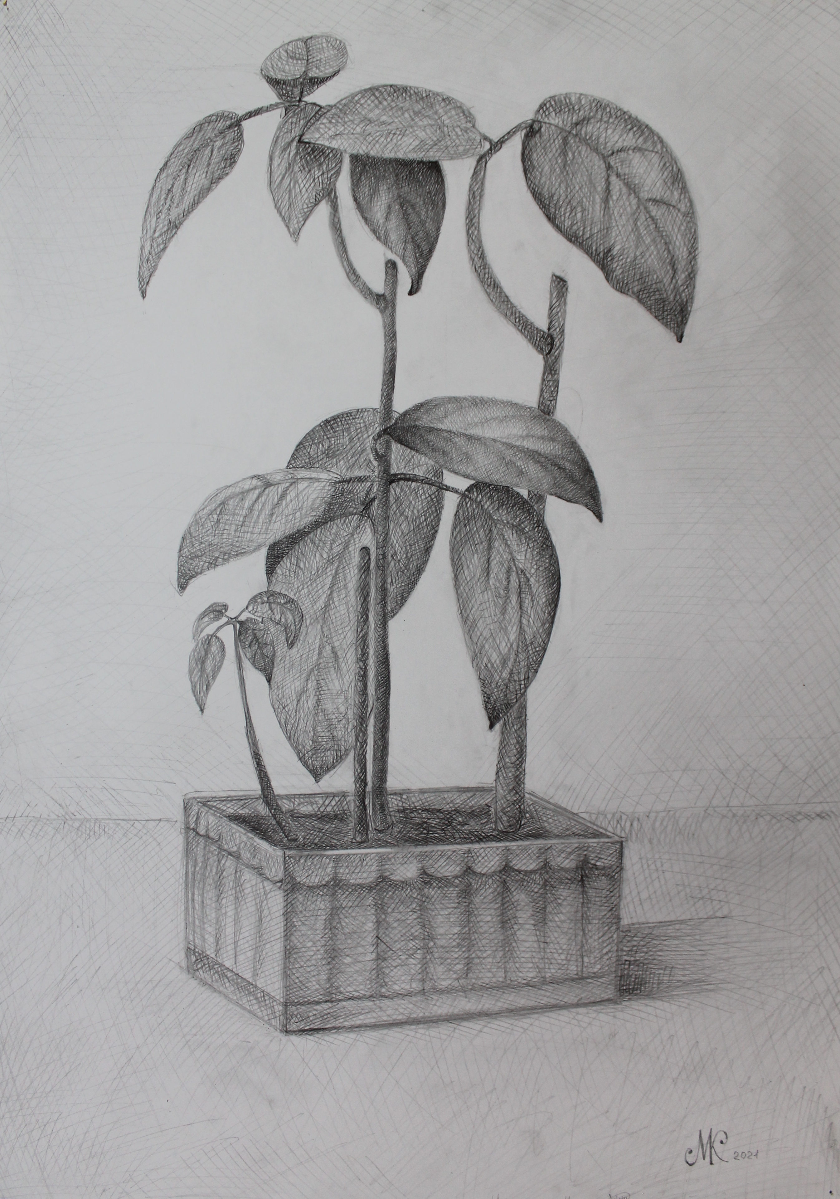 Михайлова Ксения, 13лет