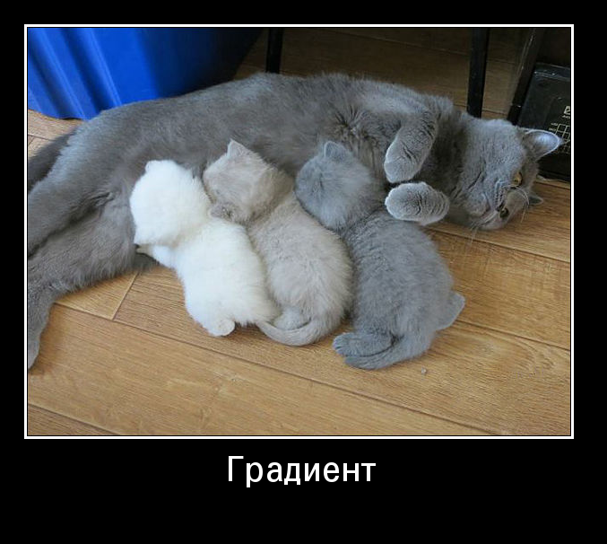 Градиент