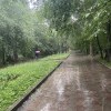 Ливень 