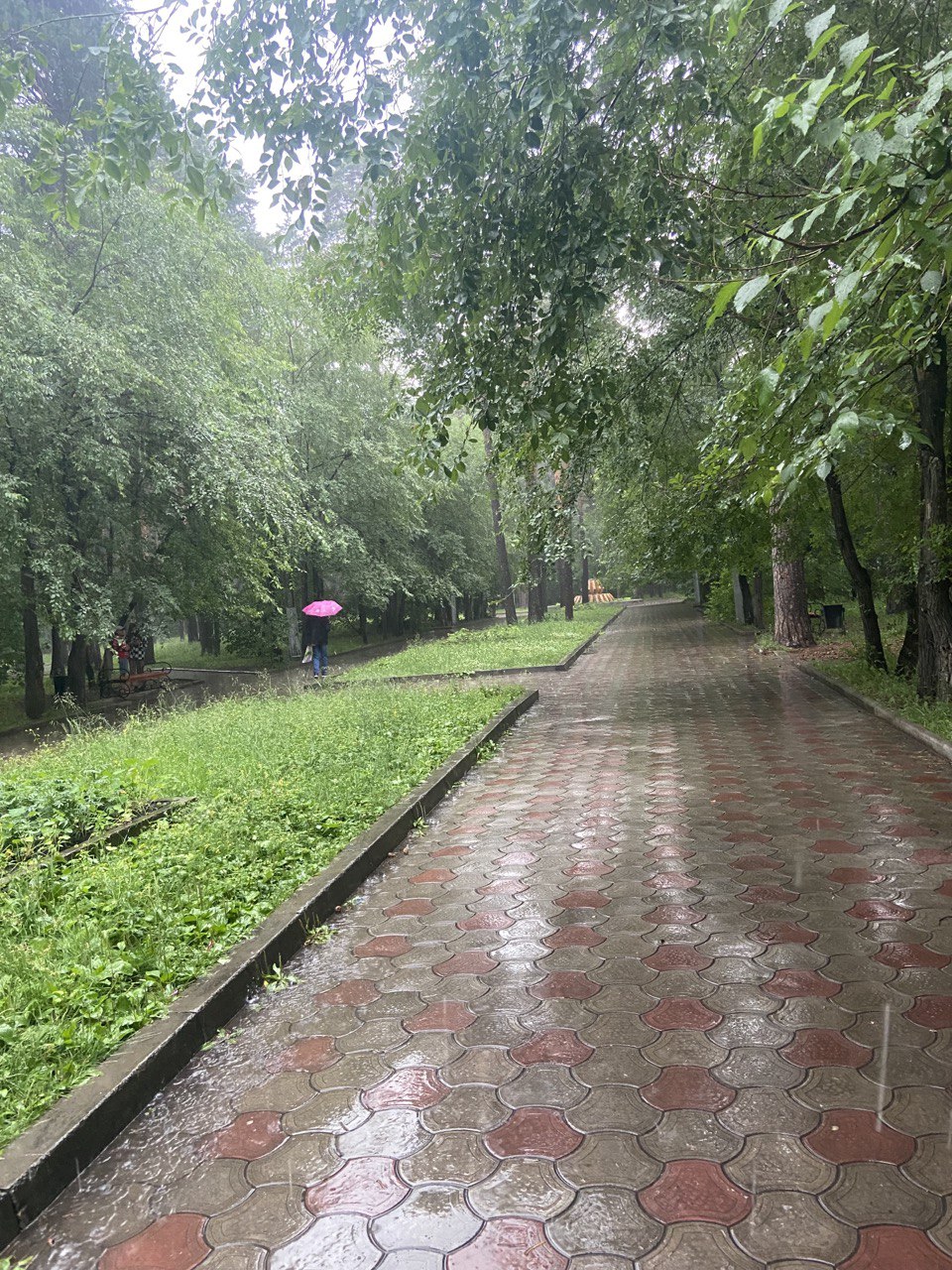 Ливень 