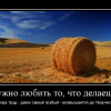 Любить то,что делаешь