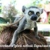 двой баригмхер))))) двой баригмхер)))))
