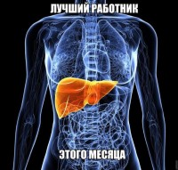 лутшый роботнег месятца)))))) лутшый роботнег месятца))))))