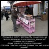 Яйца домашние
