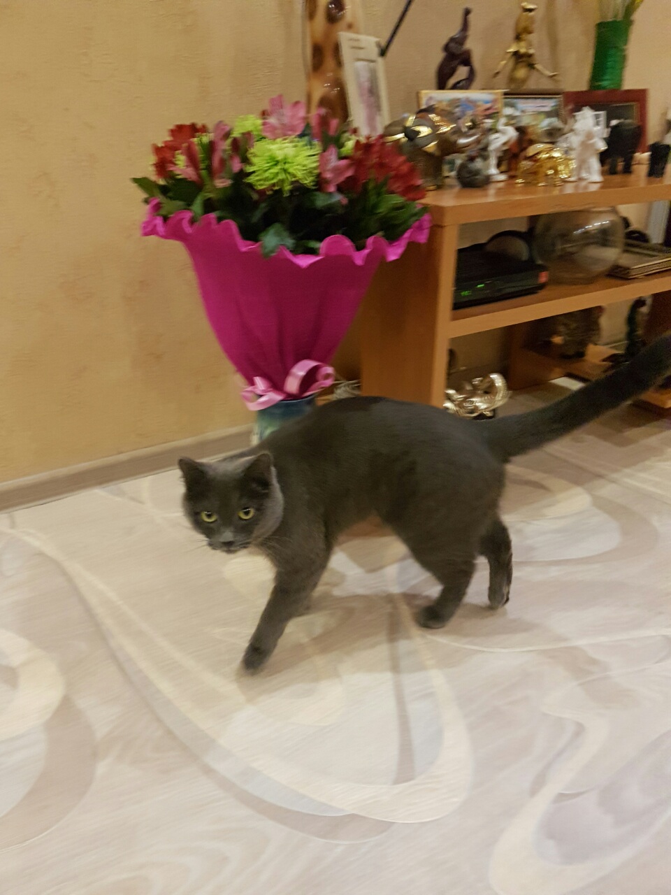 Фоша