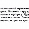 Практичность Практичность